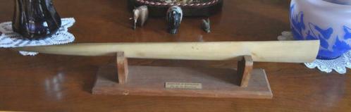 taxidermie vis zeevis rostrum trofee deco curio bone zwaard taxidermie vis zeevis rostrum trofee deco curio bone zwaard