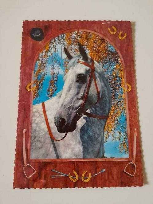 Postkaart 1970 - wit paard, Verzamelen, Postkaarten | Dieren, Ongelopen, 1960 tot 1980, Paard, Ophalen of Verzenden