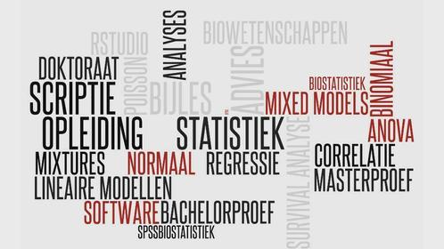 Statistiek - bijles, advies, opleiding, analyses op maat, .., Services & Professionnels, Cours particuliers, Cours privés & Cours de langue