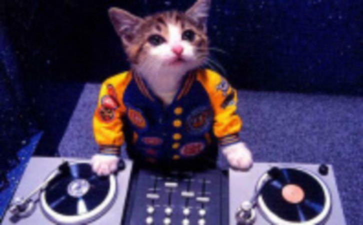 DJ Felix - Pierke Poes