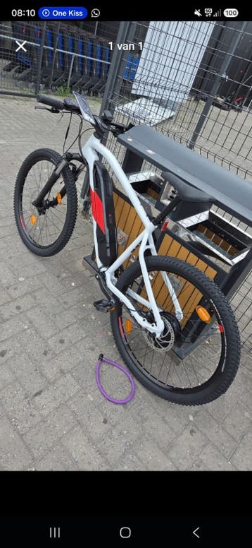 Elektrische Rockrider