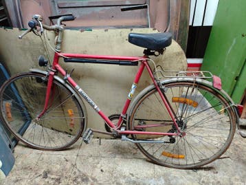 Fiets Patrizia