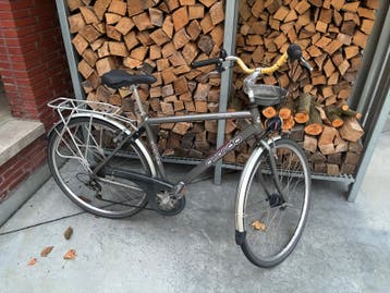 Herenfiets quardo
