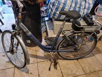 elektrische fiets