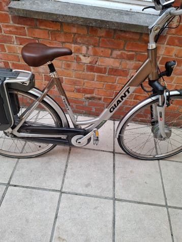 elektrische fiets