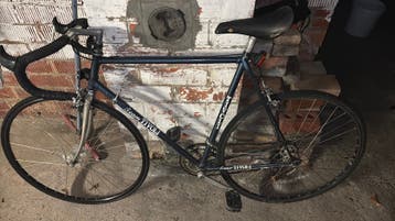 Team Tivoli Retro koerstfiets