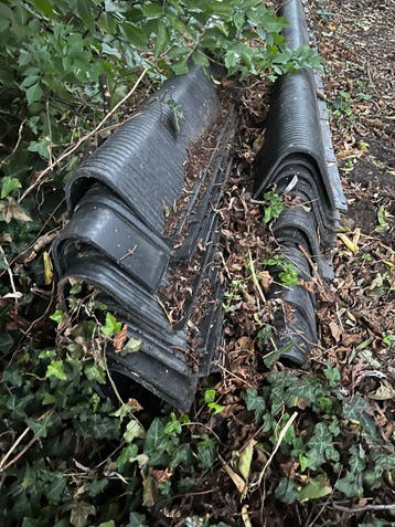 Knieboom ligbedden melkvee