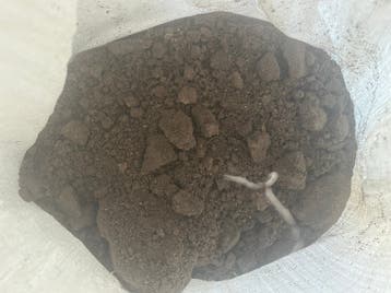 Aarde (+/-750kg) GRATIS OP TE HALEN