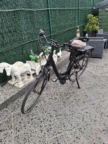 eliktrieke fiets