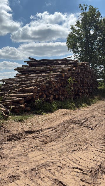 Te koop brandhout