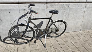Nette Gazelle Chamonix plus