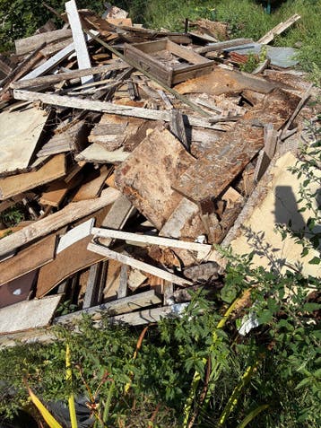 Hout