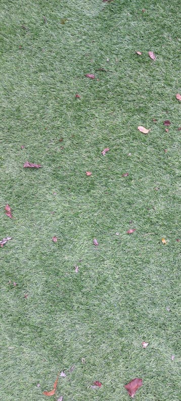 gratis kunstgras