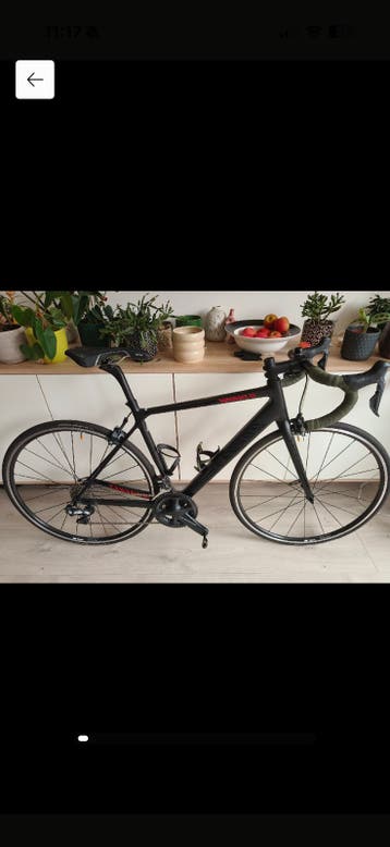 Canyon Endurace CF 8.0 Di2