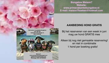 Hond gratis mee op vakantie omheinde bungalow Zuid-Limburg