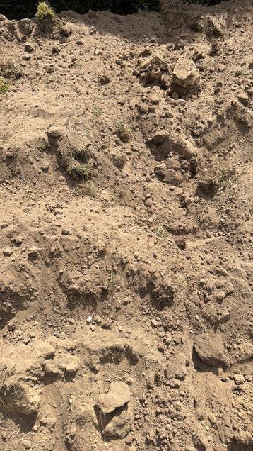 Gratis - zwarte uitgegraven grond -Hasselt