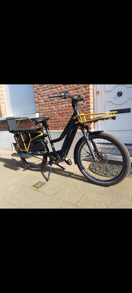 Riese muller multicharger