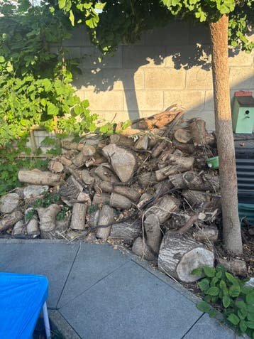 GRATIS (brand)hout