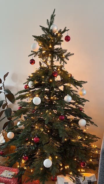 Kerstboom