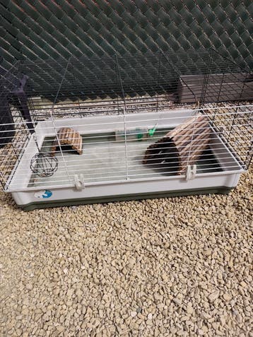 konijn / cavia hok GRATIS