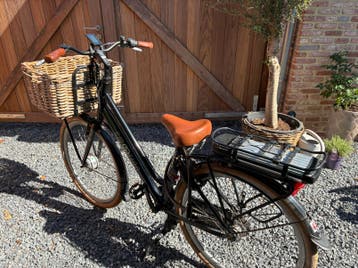 Electische dames en herenfiets