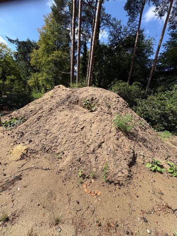 Zwarte grond ( geschat 100 M³)