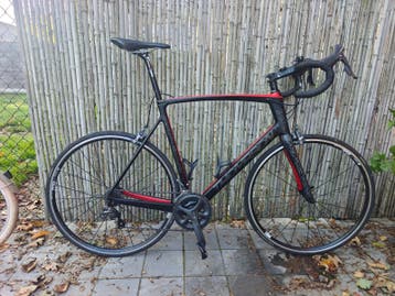 Thompson Capella XXL carbon