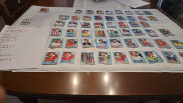 Panini 2026