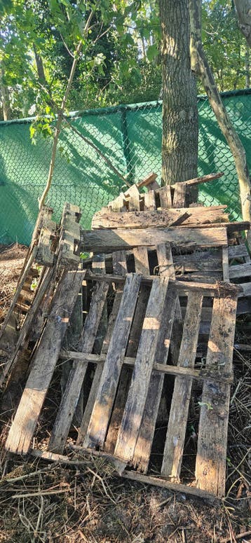 Brandhout 9 paletten gratis