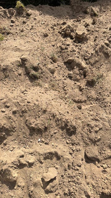 Hasselt Gratis af te halen – uitgegraven grond