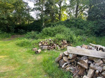 Brandhout gratis op te halen