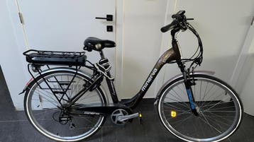 Elektrische fiets