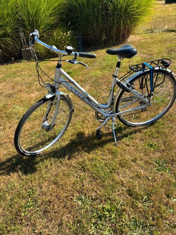 Merk Trek kleur zilver