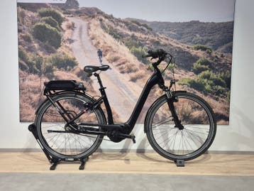 Flyer Gotour 2 e-bike met garantie