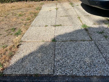 GRATIS betondallen (+-70stuks)