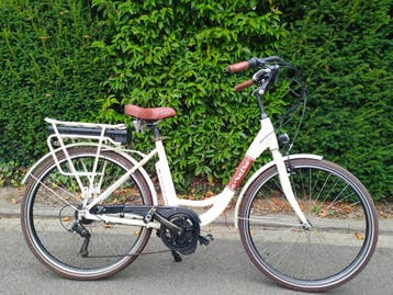 Giant elektrische fiets elektrische damesfiets e bike