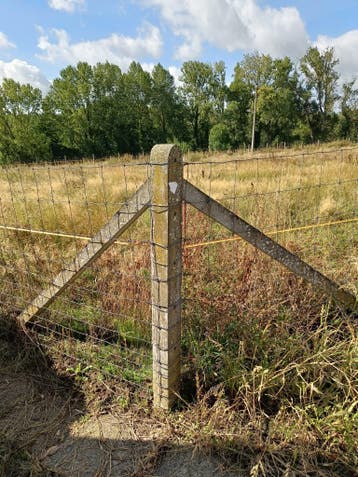 Afsluiting: betonpalen inclusief schapendraad