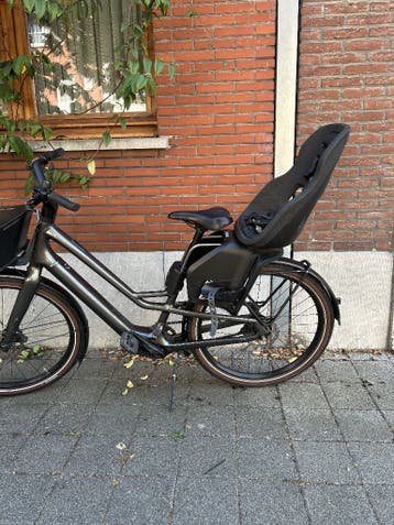 Fietsstoeltje Thule Yepp Nexxt 2 maxi