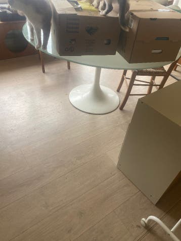 Tulip tafel