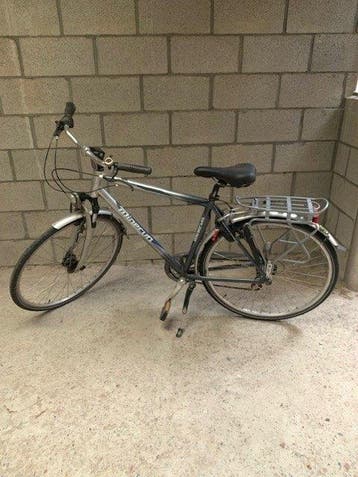 Fiets Minerva ascot