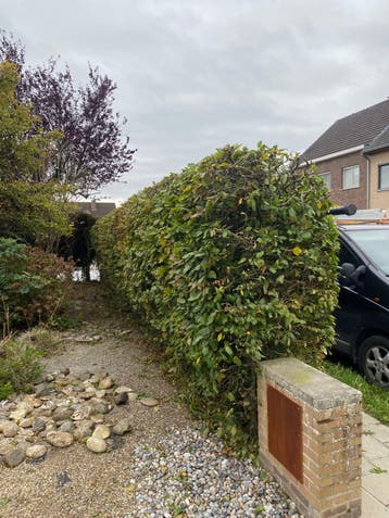 Klusjesman voor Huis & Tuin Regio West- en Oost-Vlaanderen