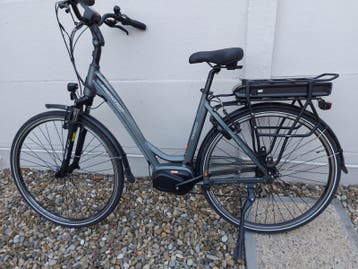 Elektriche fiets Prestige in hele nieuwestaat
