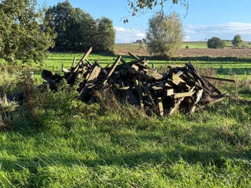 Gratis brandhout