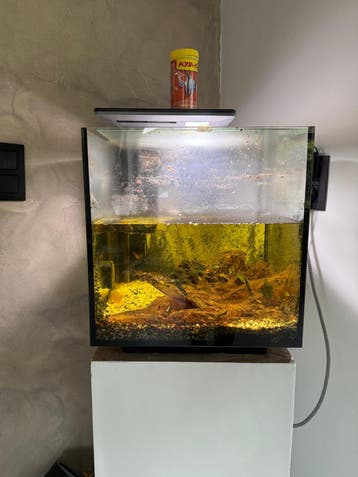 GRATIS OP TE HALEN AQUARIUM