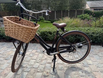 Gazelle Miss Grace T3