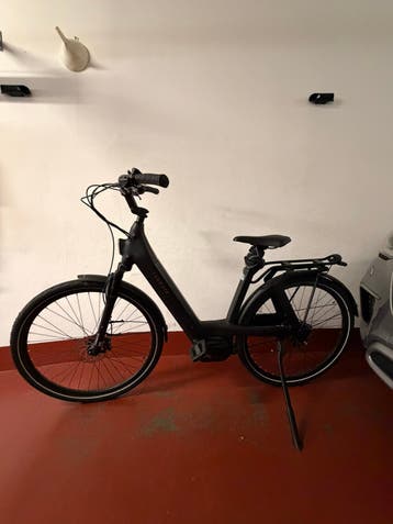 Elektronische fiets