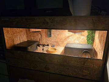 Dringend Terrarium Moet Weg