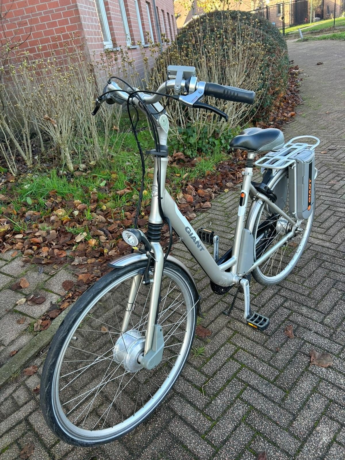 elektrische fiets