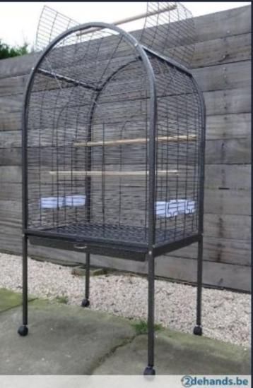 Cage pour perroquets Reno