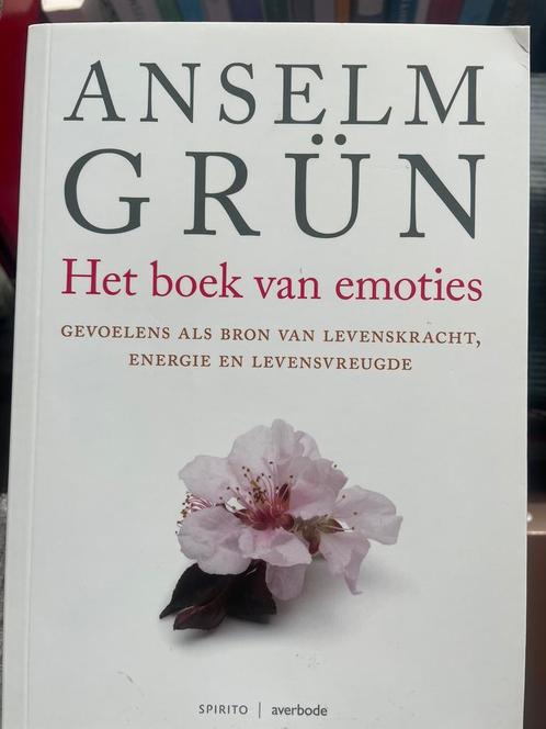 Anselm Grun - Het boek van emoties, Livres, Ésotérisme & Spiritualité, Utilisé, Enlèvement